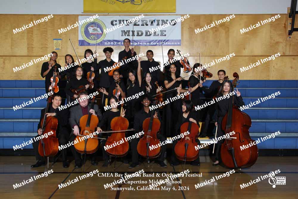 Musical Images